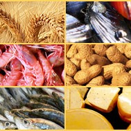 cartello allergeni allergie alimentari 2 - QUADRATA